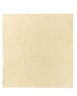 Little Fishies Waffle Blanket – Butter - Image 5