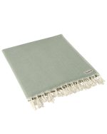 Sonoran Blanket Sage - Image 4