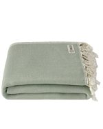 Sonoran Blanket Sage - Image 5