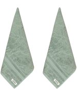 Aquatic Turtle Hand Bath Bundle – 2 Pack – Sage - Image 4