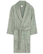 Aquatic Turtle Robe – Sage