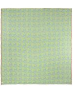 Cactus – PARTY BLANKET™ - Image 35