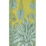 Agave